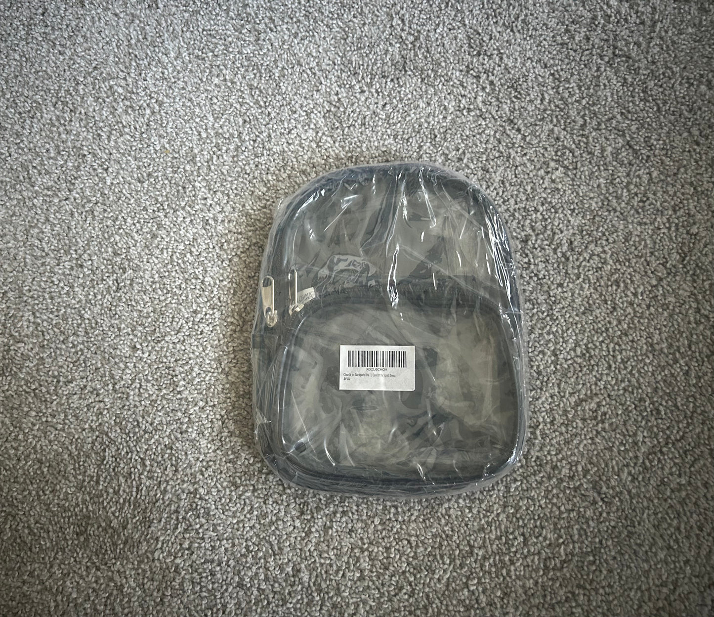 Mini Clear Backpack